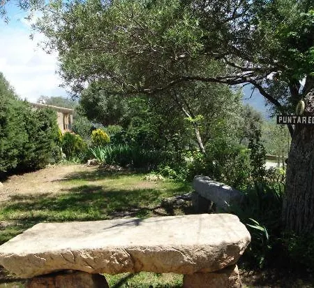 Tassinca *